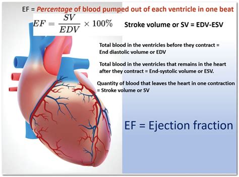 lvef 50 percent means|left ventricular ejection fraction by age.